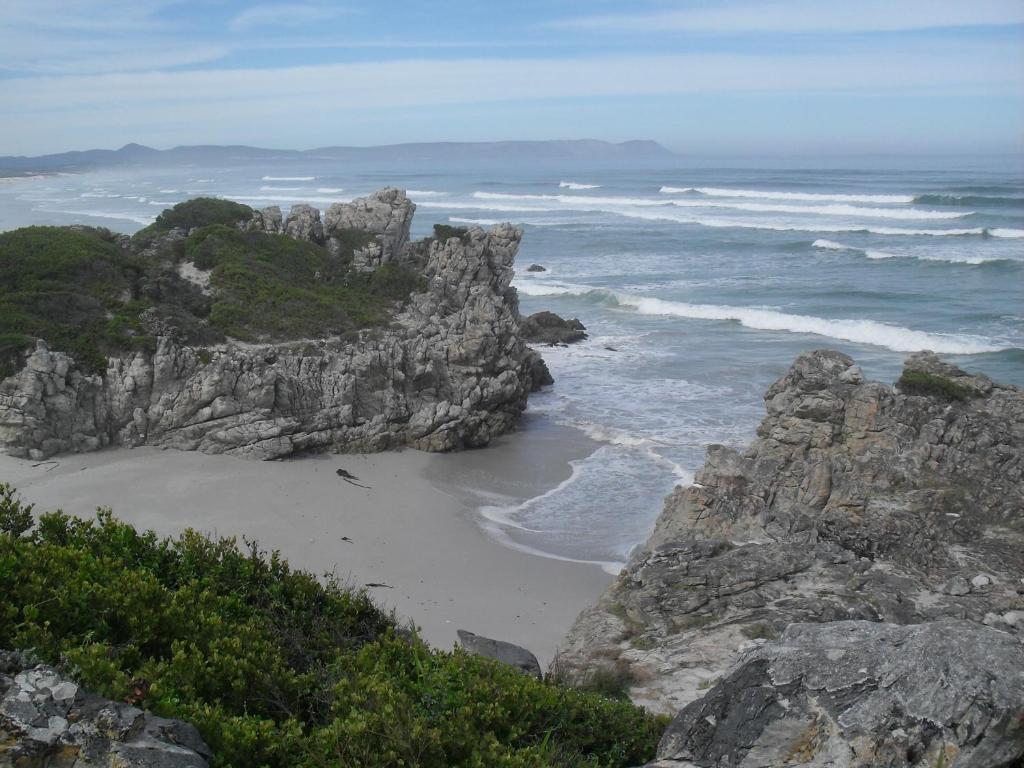 Bamboo Guest House Hermanus Zewnętrze zdjęcie